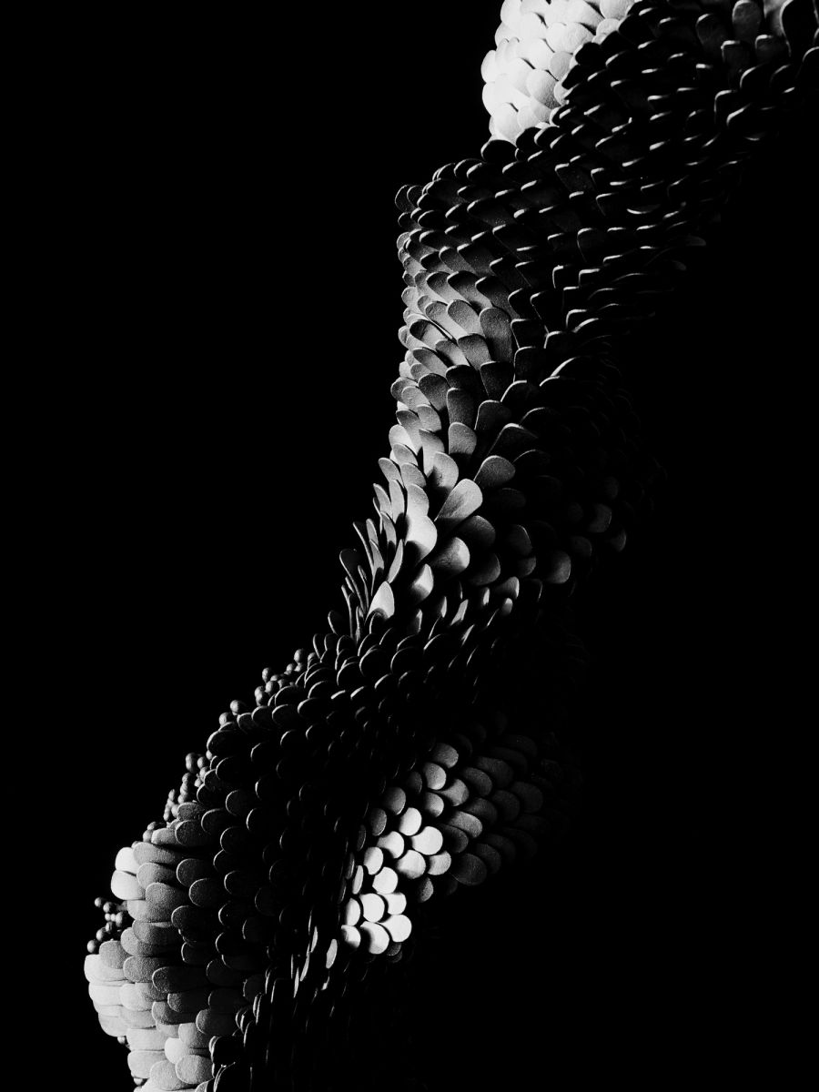 Image by Julius Hirtzberger